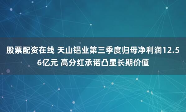 股票配资在线 天山铝业第三季度归母净利润12.56亿元 高分红承诺凸显长期价值