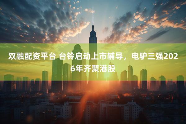 双融配资平台 台铃启动上市辅导，电驴三强2026年齐聚港股