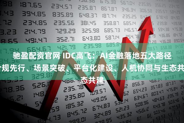驰盈配资官网 IDC高飞：AI金融落地五大路径 合规先行、场景突破、平台化建设、人机协同与生态共建