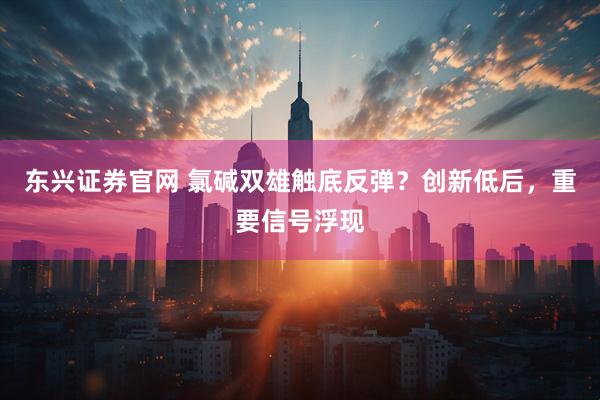 东兴证券官网 氯碱双雄触底反弹?创新低后,重要信号浮现