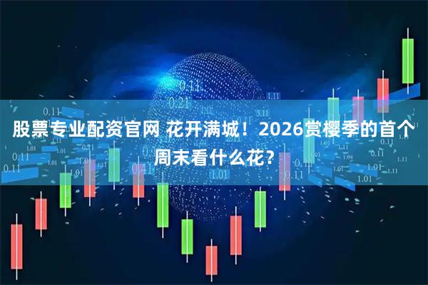 股票专业配资官网 花开满城！2026赏樱季的首个周末看什么花？